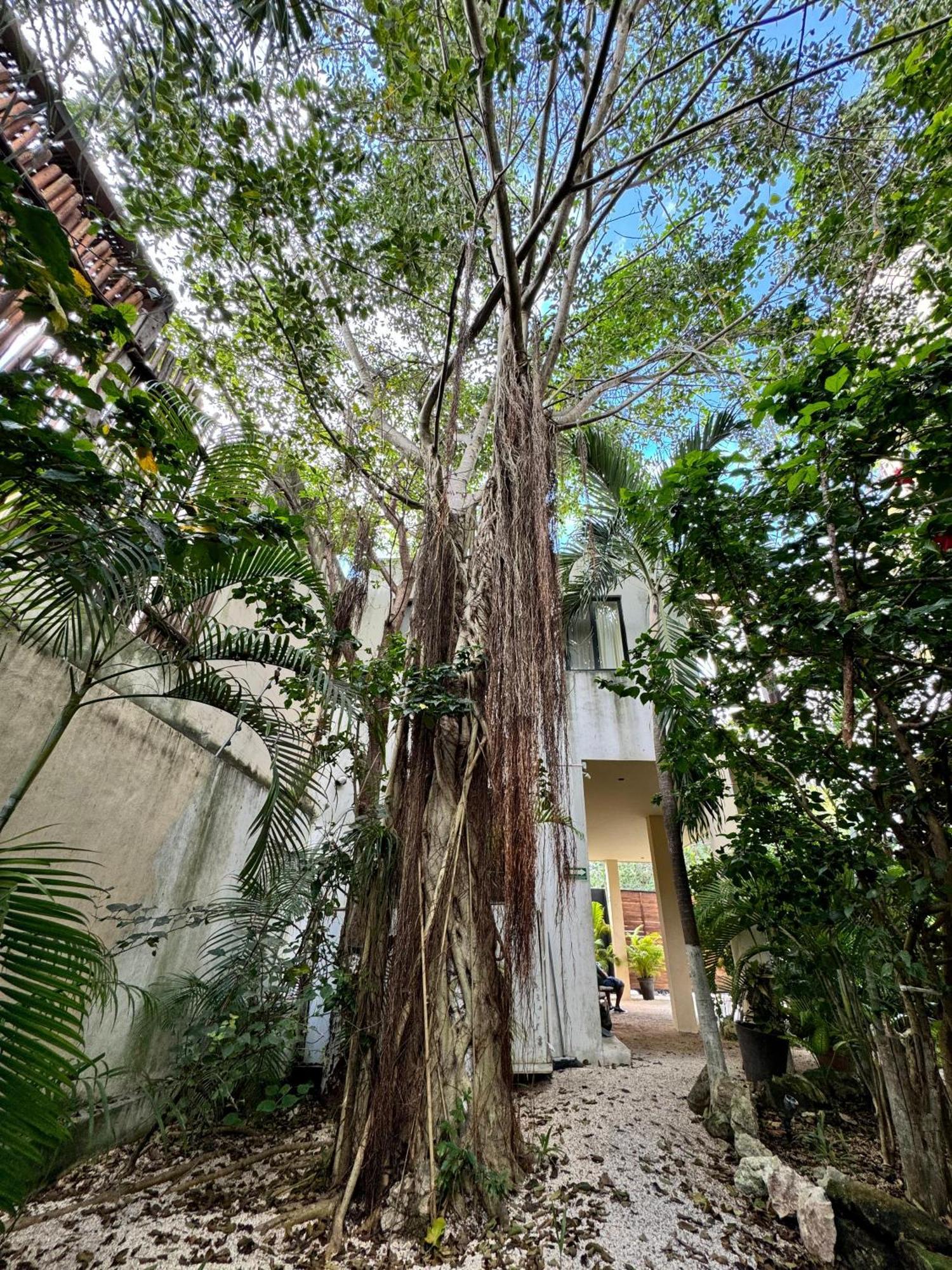 Starfit Hotel Boutique Beachclub, Spa & Gym Included Tulum Esterno foto