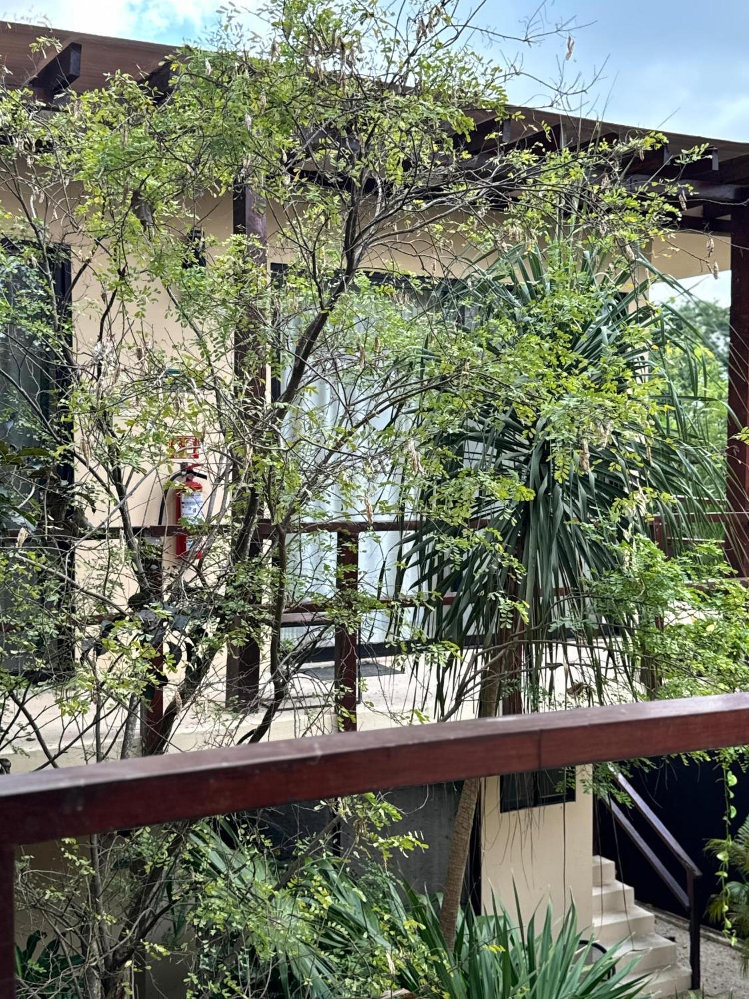 Starfit Hotel Boutique Beachclub, Spa & Gym Included Tulum Esterno foto